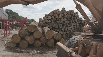 qu'est ce que la crise du bois de chauffage ?